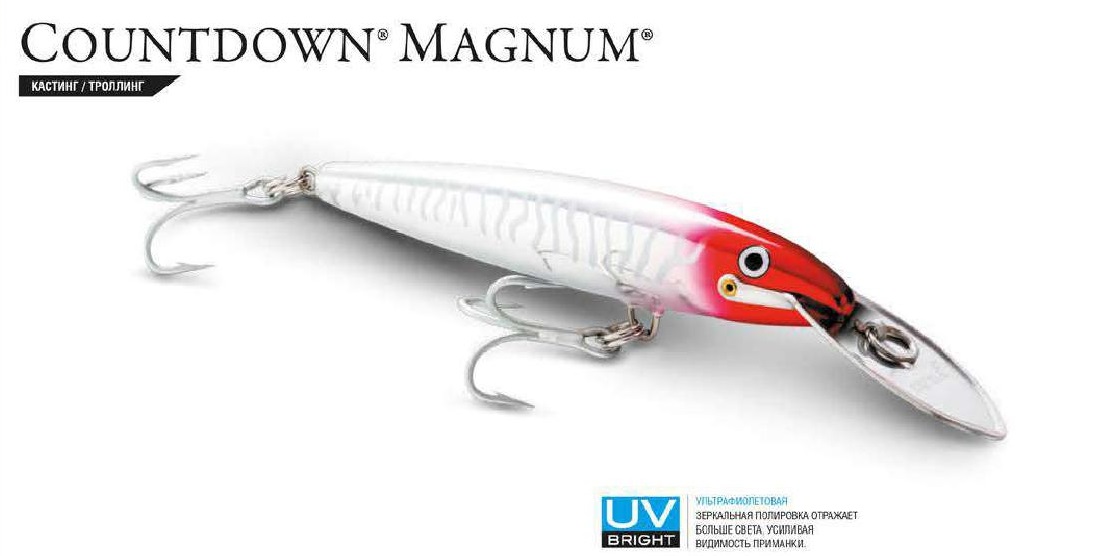 CountDown Magnum